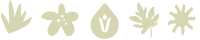 Icono